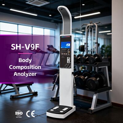 フィットネスセンター 身体構成分析 体重計の脂肪スキャナー 体重分析器 筋肉スキャナー 身体分析器 OEM 身体分析器