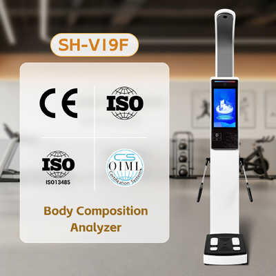 インテリジェント・ボディ・メーサリング・インストラム BMI ヒューマン・スケール SH-V19F 身体組成解析器